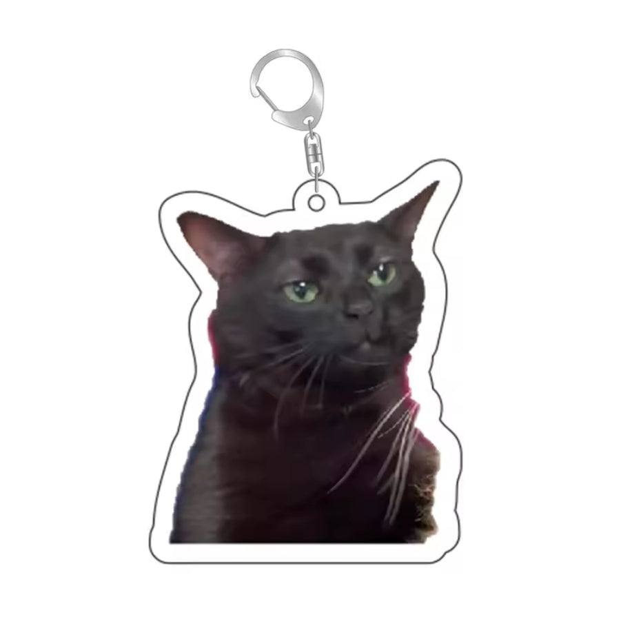 Cat Meme Keychain